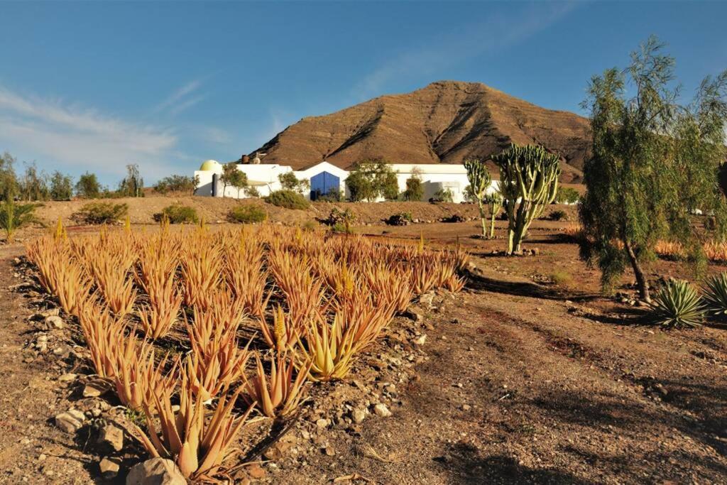Romantica Fuego - Eco Retreat Finca Artis Tirma Tarajalejo Exterior photo